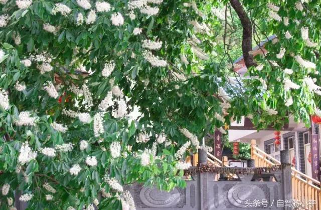 洛阳重渡沟野生动物园,郑州到洛阳重渡沟自驾