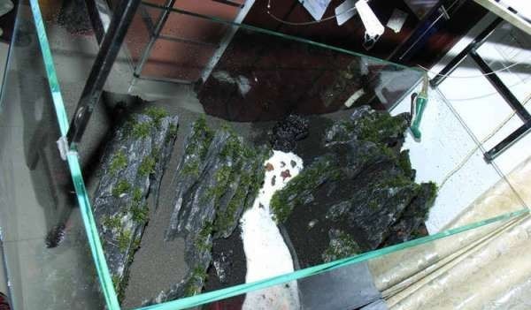 如何布置鱼缸水草造景,峡谷河流鱼缸