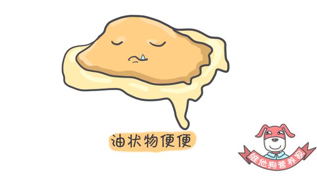 令人困扰的便便儿童科普,关于便便的小知识