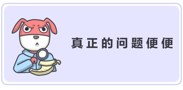 关于便便你不知道的知识,有关便便的知识