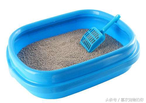 猫砂的处理方法,哪种猫砂不容易被猫弄出来