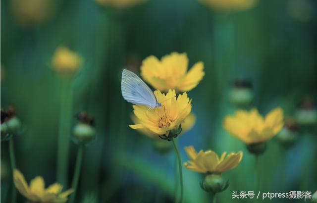 前期拍摄画草图技巧有哪些,线描画人物摄影技巧构图