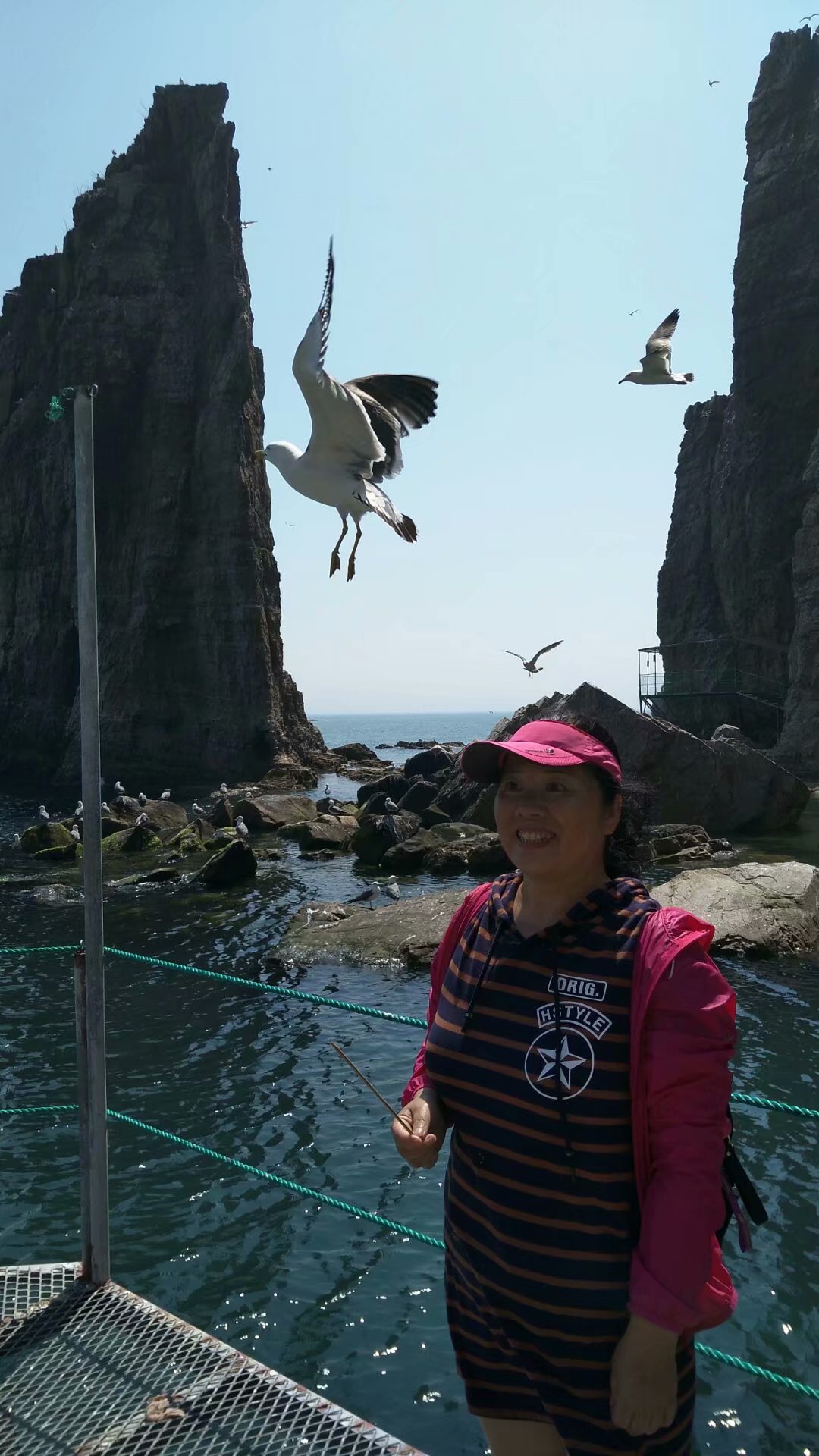 胶东海驴岛,长岛海驴岛