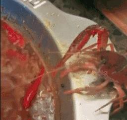 郑州土豪垂钓赛事件,土豪垂钓赛最新消息