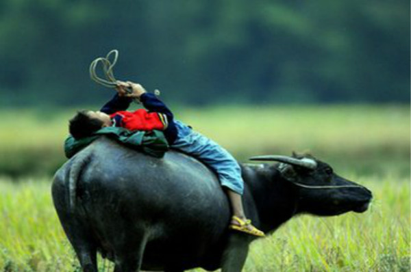 想起了我们小时候放牛的日子,儿童节我回忆起了童年说说