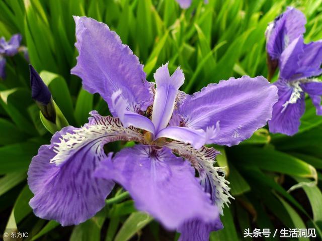 人到老了屁股会萎缩吗,马屁是不是随便拍的