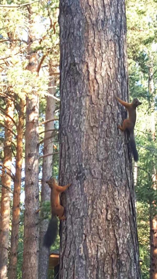 贝加尔湖旅行照片,俄罗斯贝加尔湖游记