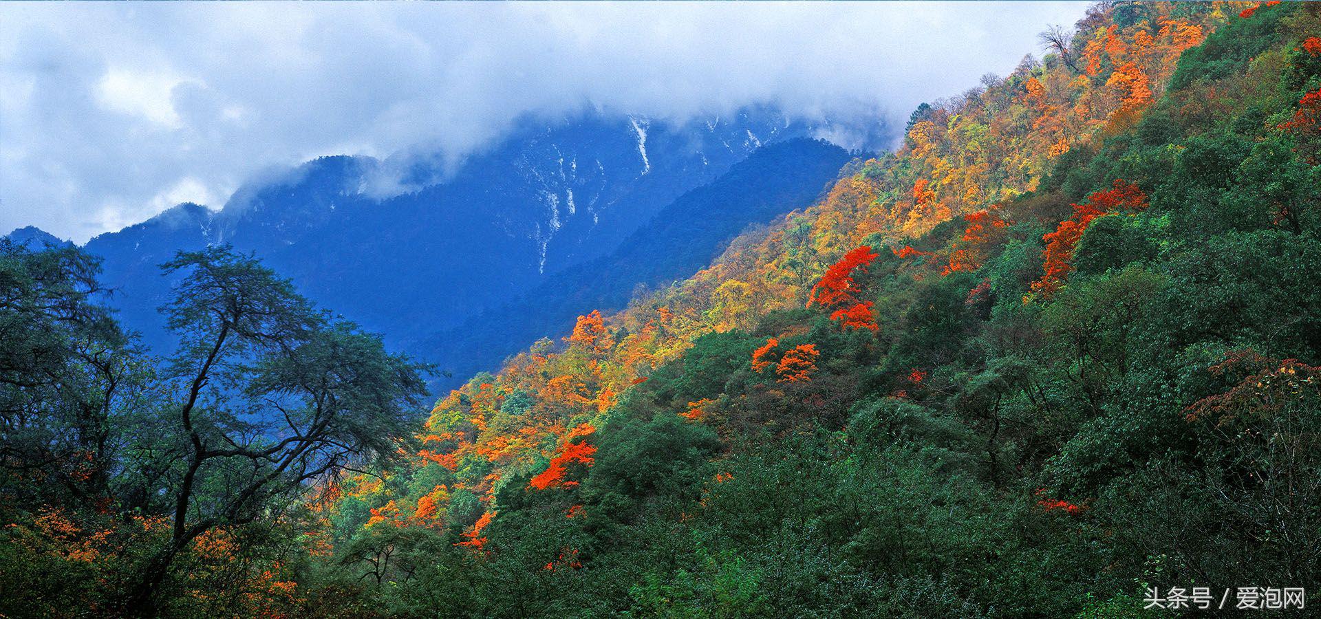 雅安川西竹海必去的三个地方,雅安东拉山大峡谷游记