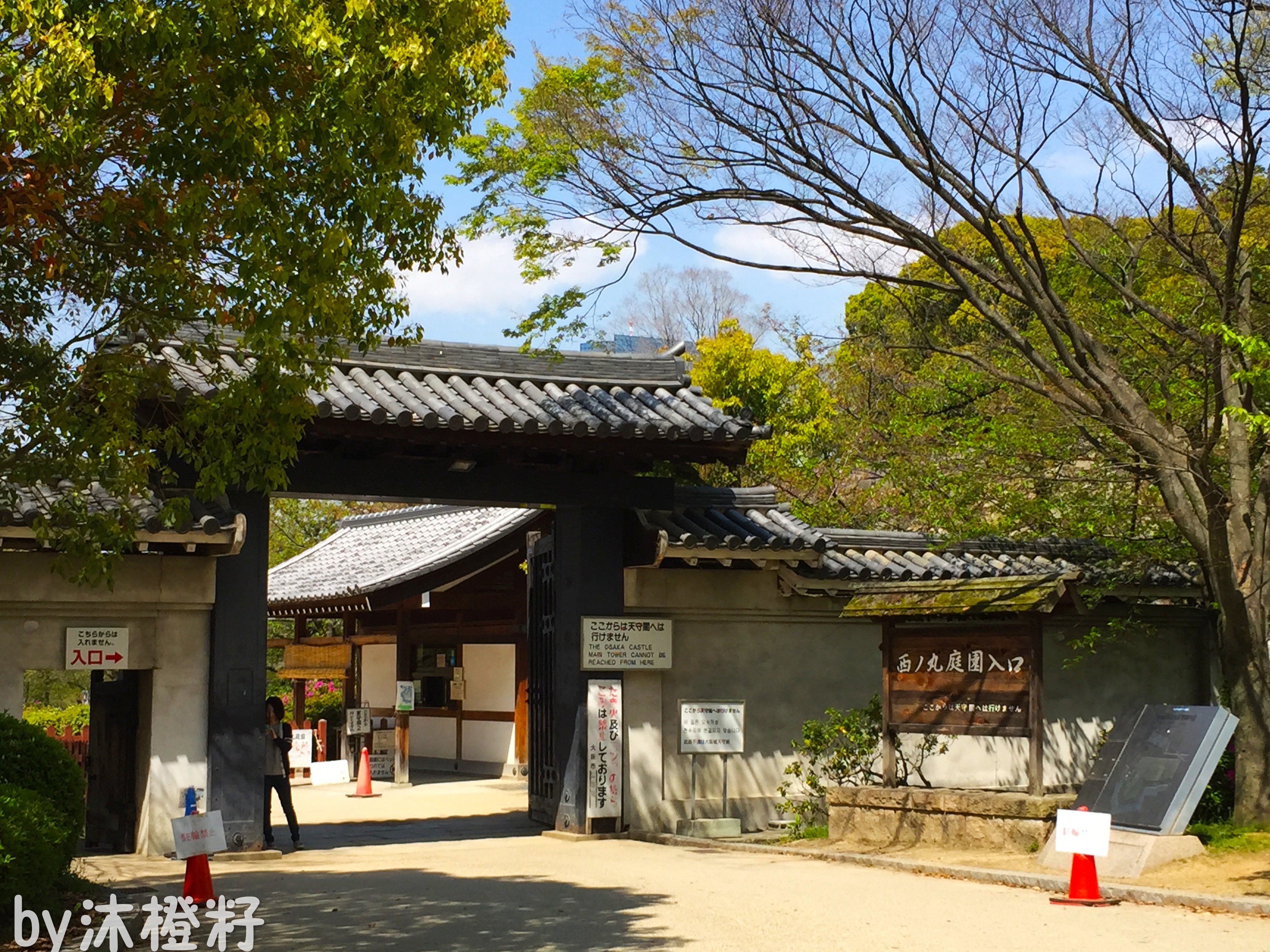 日本一男“玛丽苏”,逆袭入住“假版”黄鹤楼?!