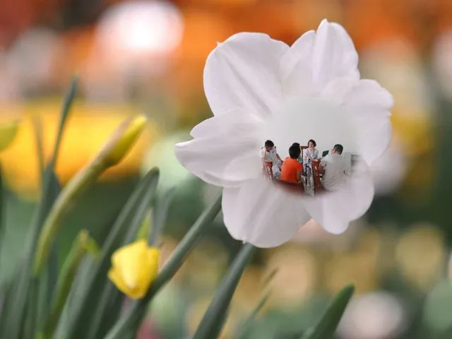 通州妇幼儿科,通州妇幼看儿科怎么样