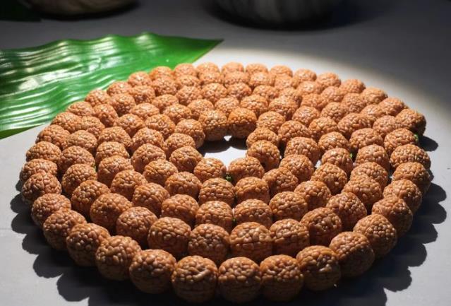 小金刚菩提价格如何判定,小金刚菩提瓣数