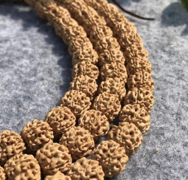 小金刚菩提价格如何判定,小金刚菩提瓣数