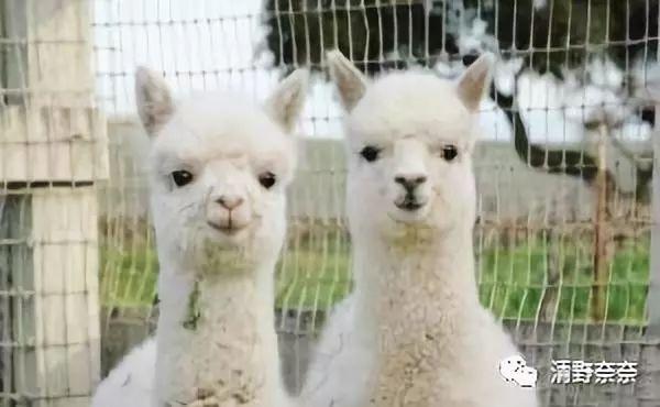 好用化妆品推荐平价,化妆品推荐高颜值又好用便宜