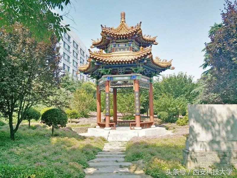 四六级拿满分攻略,裸考四六级高分通过小技巧