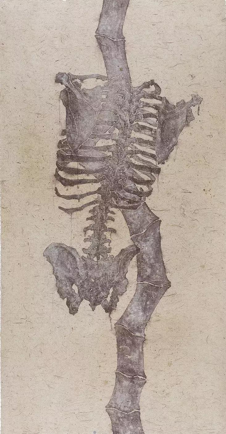 超越预知的可能——谭军谈纸本绘画综合技法