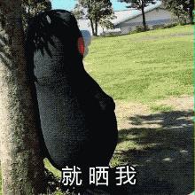 北京全口径2020平均工资公布时间,北京月平均工资2023最新标准