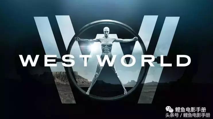 美剧迷精彩视频,美剧迷的四个阶段