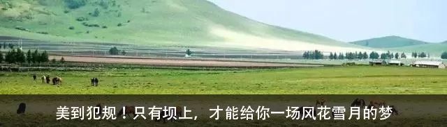 河北适合露营的旅游景点推荐,河北周末亲子游好去处