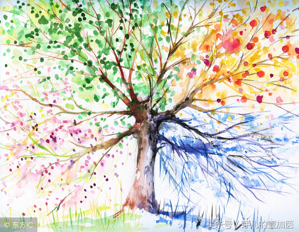 黄帝内经面黄目赤,黄帝内经白为寒黄为热