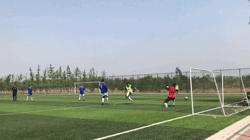 紫禁之巅11集,紫禁之巅决赛完整版