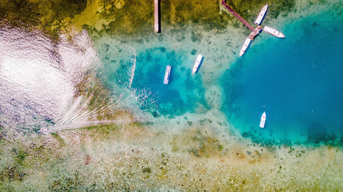 美娜多潜水圣地,印尼美娜多海豚潜水