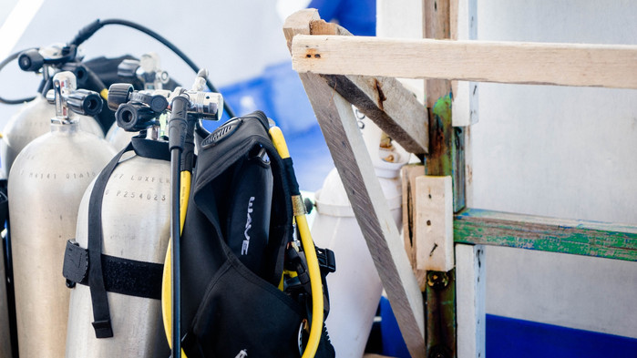 美娜多潜水圣地,印尼美娜多海豚潜水