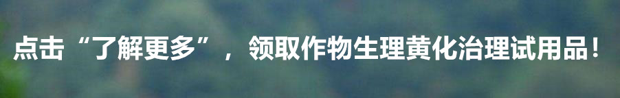 为什么有的果子特别酸,为什么果子有酸味