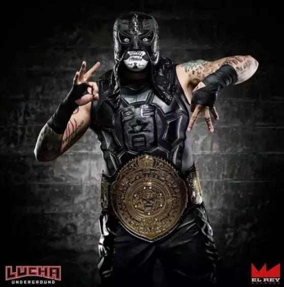 罗曼雷恩斯穿捍卫者防弹衣,wwe罗曼高光时刻