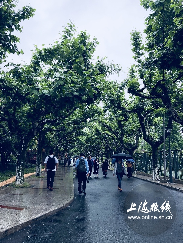 绿树成荫景色宜人清新空气,绿树成荫环境优美空气清新
