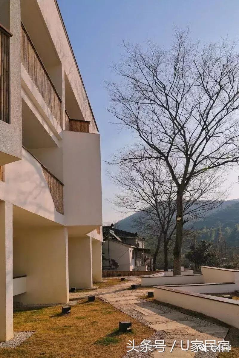 夕阳竹海泡泡浴，真不愧为当地大众点评和美团均排名第一的地方