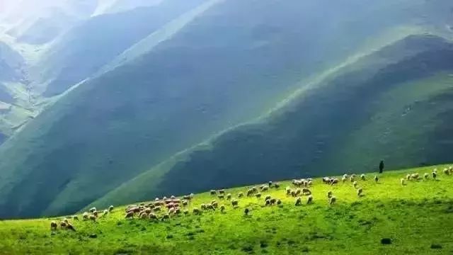 宝鸡到昆明的机票多少钱,宝鸡到昆明火车硬卧多少钱