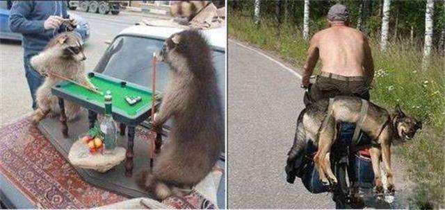 梦见钻石项链是什么意思,梦见钻石项链