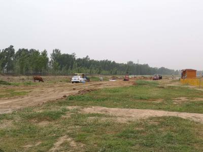 中华民族大赛马2020比赛日程,中华民族耐力赛马节