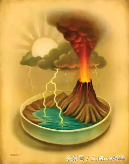 物种起源和进化,物种起源和人类的起源