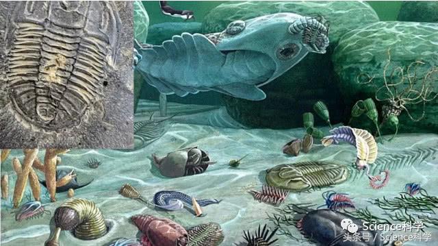 物种起源和进化,物种起源和人类的起源