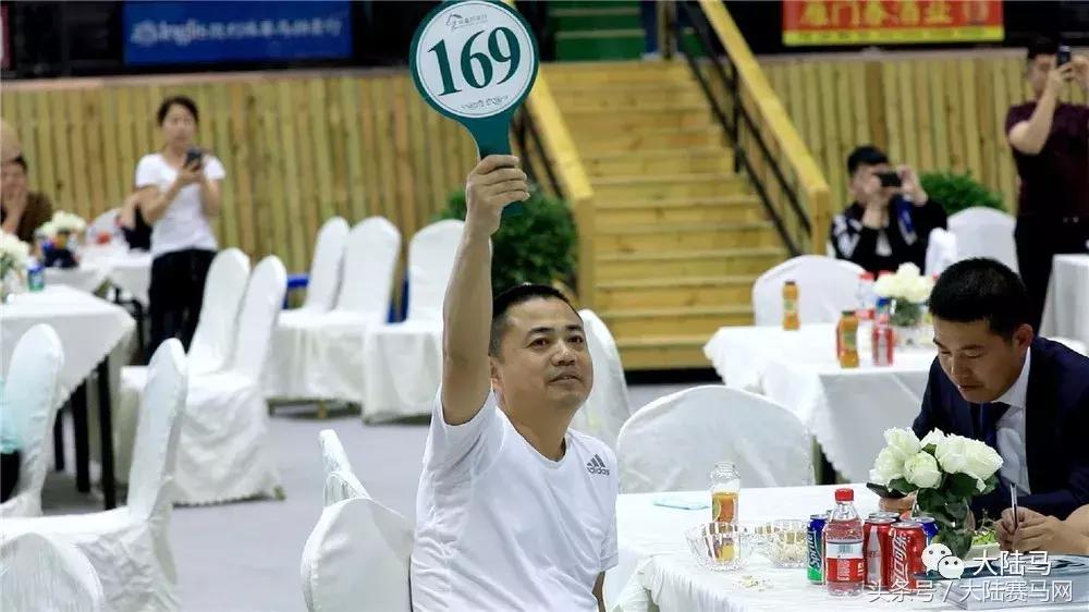 玉龙马业2018年5月18日拍卖会,玉龙马业拍卖会小矮马