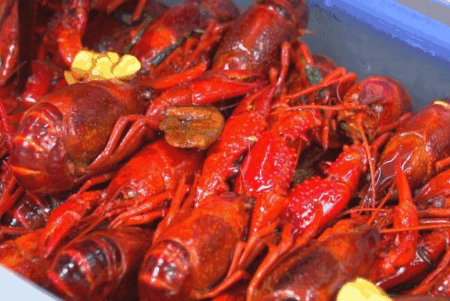 世界杯观球指南,第三部世界杯观球指南