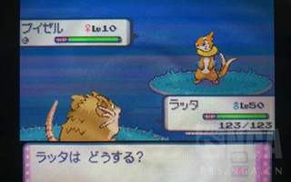 排名前十的精灵宝可梦游戏,精灵宝可梦盘点那些有趣的宝可梦