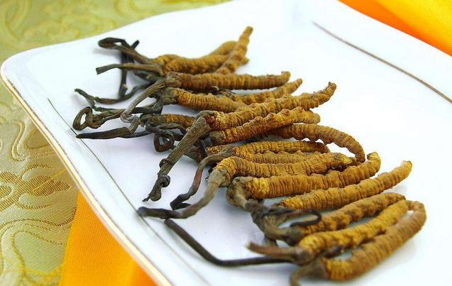 十大最经典的补肾中药,十大最好的补肾中药