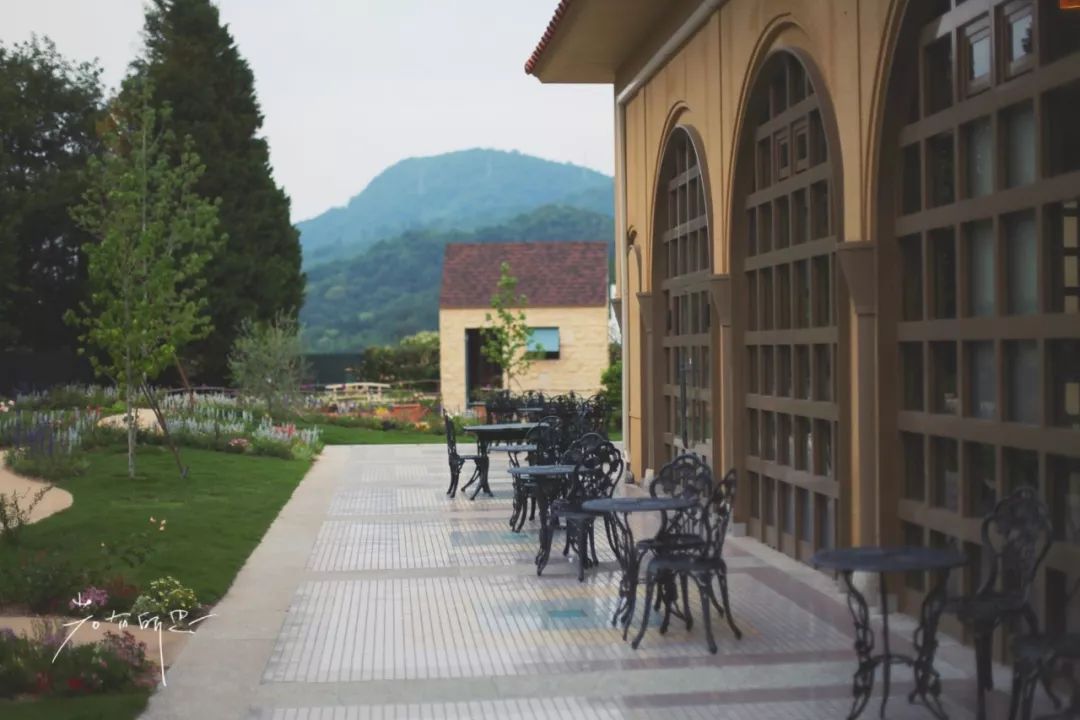 日本的这个地方，很少有中国游客，超级文艺治愈系！