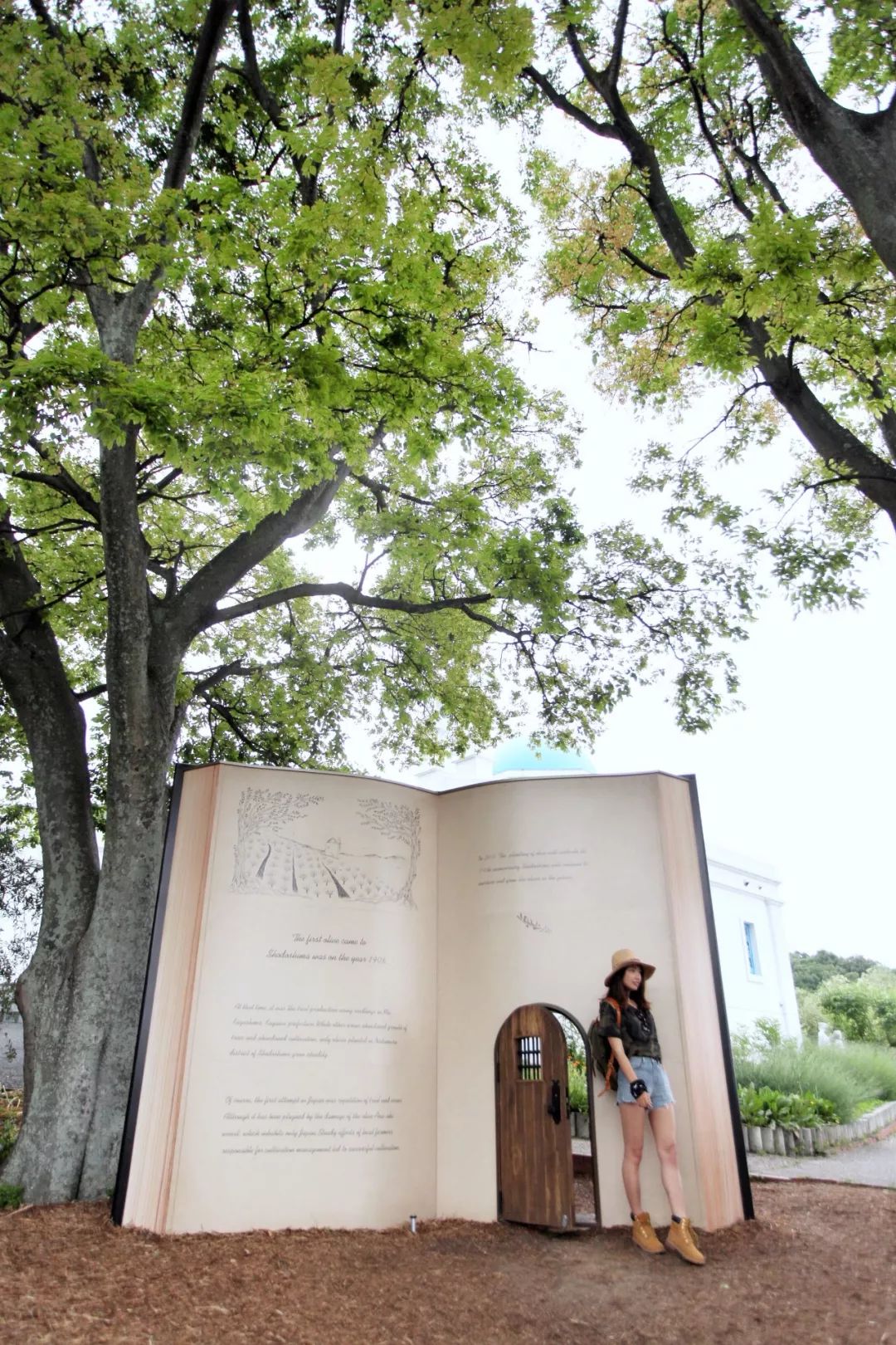 日本的这个地方，很少有中国游客，超级文艺治愈系！