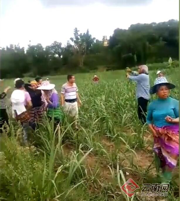 云南陨石坠落拍卖,云南省的石陨石坠落