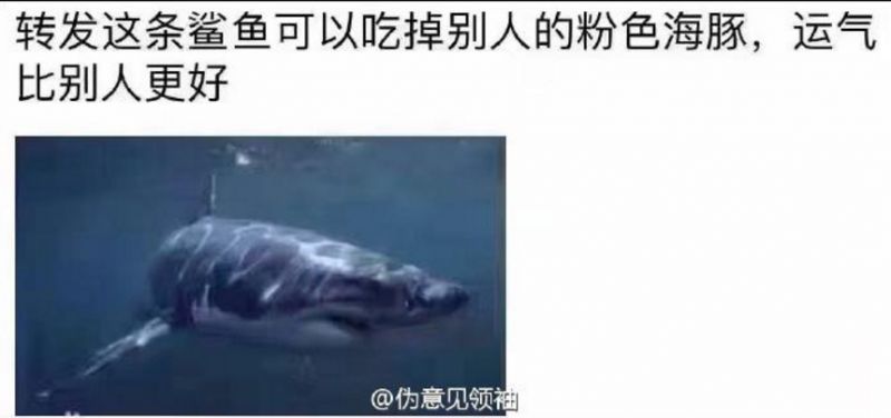 小龙虾为什么不灭绝,和大家讲一个可怕的故事