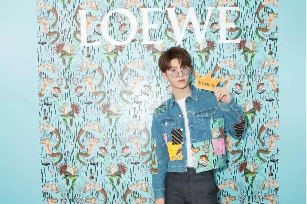 loewe同款包,loewe小象包能装吗