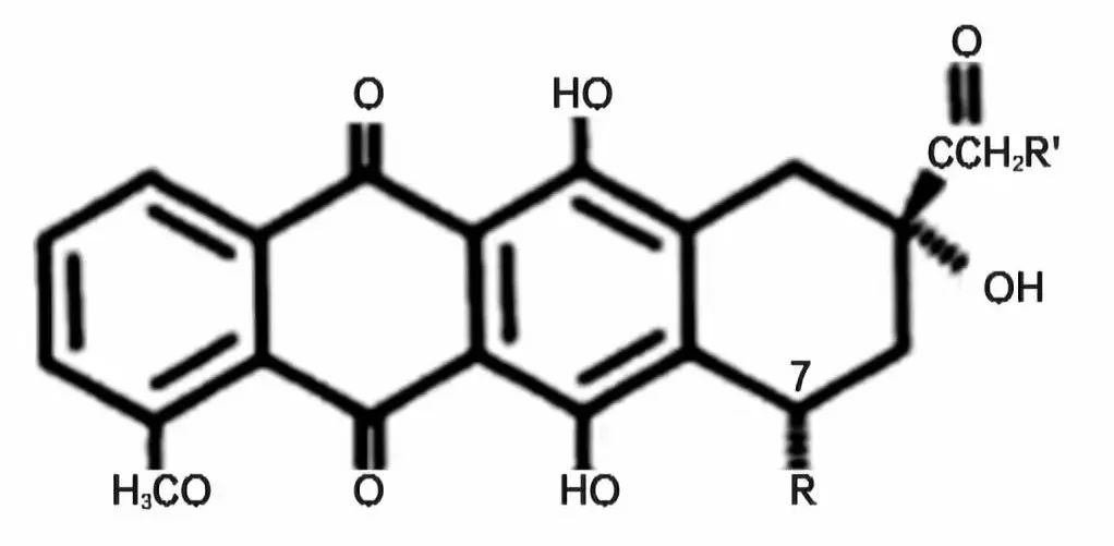 蒽环类药物怎么用？这篇文章总结得太全了！