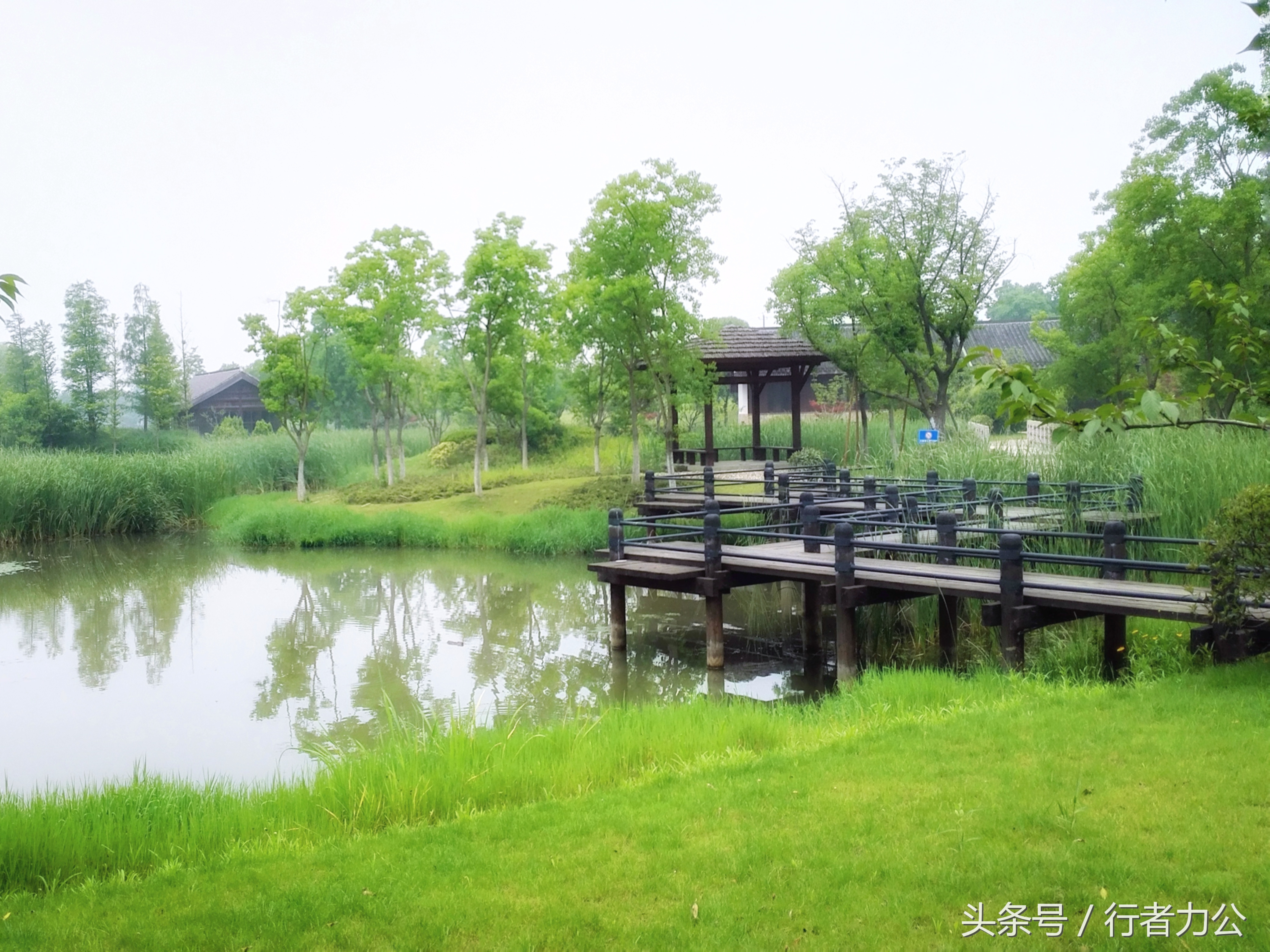 尚贤河湿地公园攻略,尚贤河湿地景点
