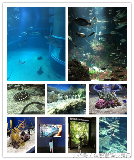 七天日本亲子游怎么玩 (亲子游日本攻略)