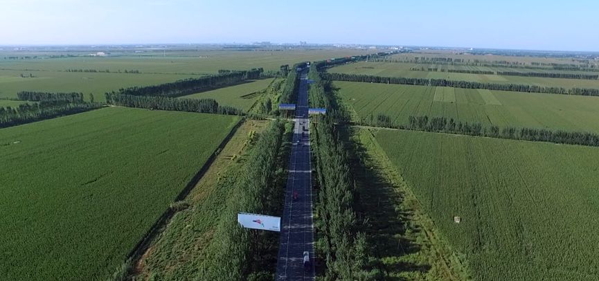 有创意的童谣作品,小学生改编的童谣