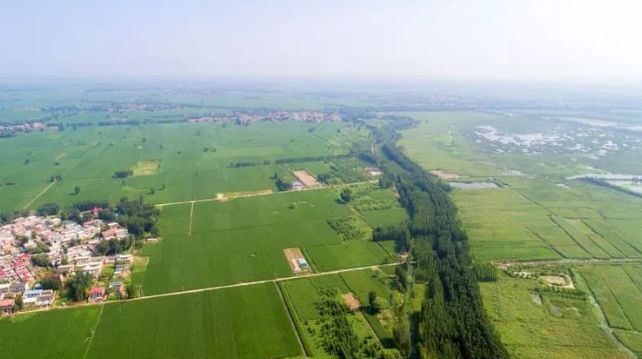 有创意的童谣作品,小学生改编的童谣