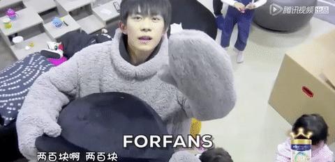 白敬亭自带道具的综艺,白敬亭张翰